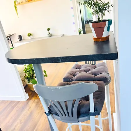 T2 With Parking, Air-conditioned, 10 Min From The Beaches Of Cannes Le Cannet